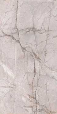 Керамогранит Premium Marble Dragon Grey Silk  (n159740) 60x120 от Alpas Euro (Индия)