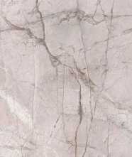 Керамогранит Premium Marble Dragon Grey Silk  (n159740) 60x120 от Alpas Euro (Индия)