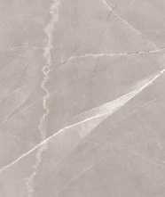 Керамогранит Premium Marble Armani Grey Satin (n169508) 60x120 от Alpas Euro (Индия)