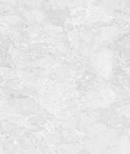 Керамогранит ROCKSTAR ORLEANS MATT (NTTVL99836M) 60x120 от NT Ceramic (Индия)