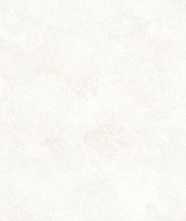 Керамогранит RAYCLAY SGS RAY MOON RT (RM12) 60x120 матовая от Supergres Ceramiche (Италия)
