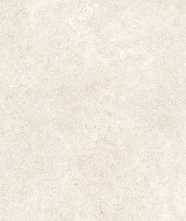 Керамогранит WHISPER W.DUNE AS RT (W60D) 60x120 от Supergres Ceramiche (Италия)
