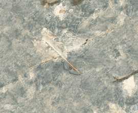 Керамогранит Bali Green In&Out 60x60 от New Tiles (Испания)