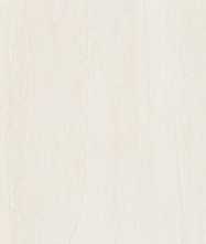 Керамогранит EC.SOUTHWELL VEIN white 60x120 от Ecoceramic (Испания)