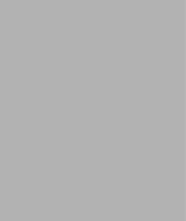 Слэб керамический MONO GREY MATT 160 320x160x12 от StaroSlabs (Индия)