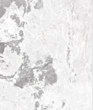 Керамогранит Grey Spot Jade soft (n148916) 90x180 от FMAX (Китай)