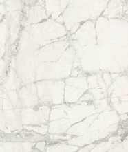 Керамогранит Gold River Snow glossy (n148918) 90x180 от FMAX (Китай)