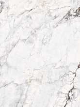 Керамогранит Fendi White 6 mm glossy (n157917) 120x270 от FMAX (Китай)